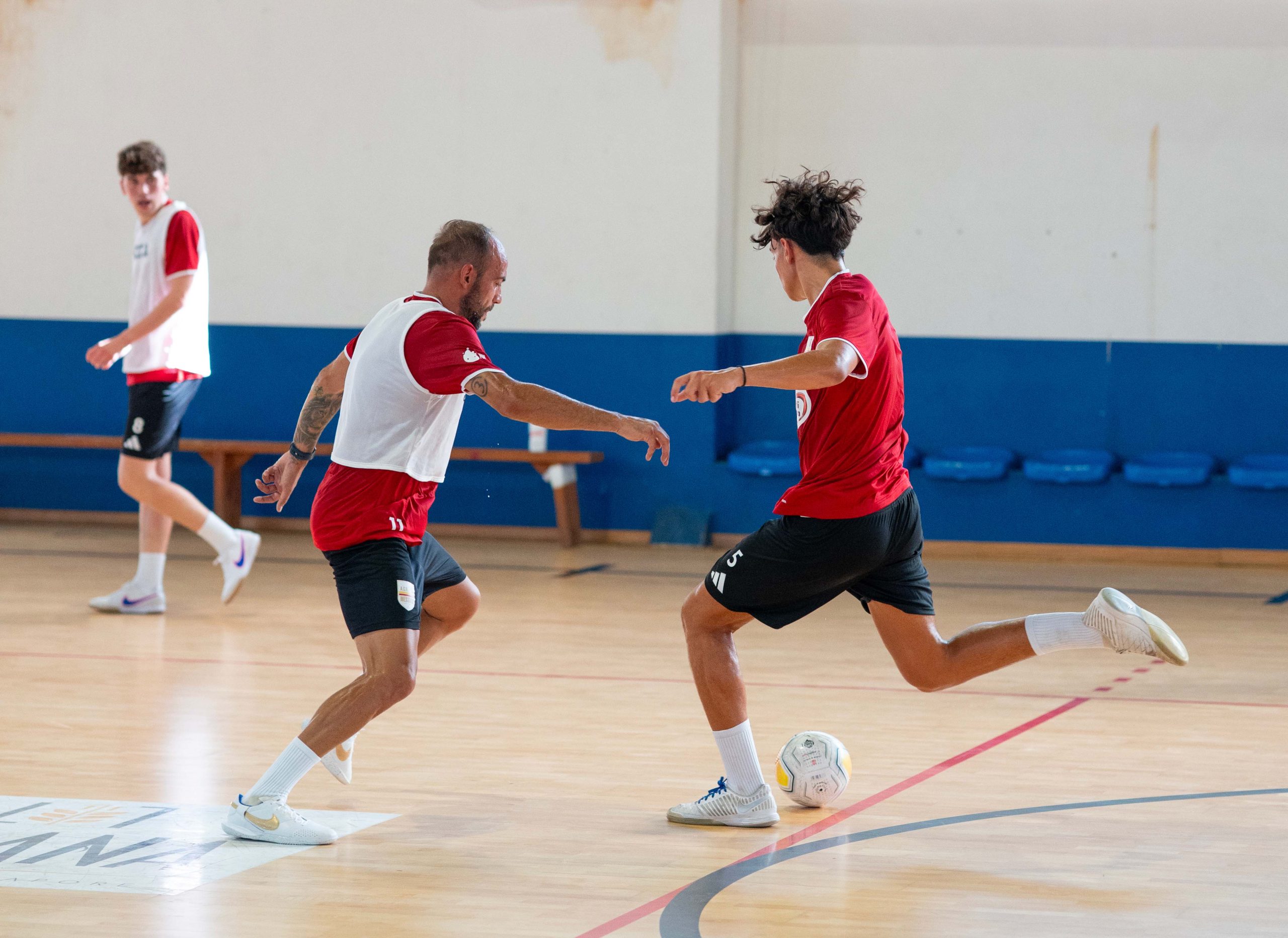The PalaLaganà ahead of the new season
